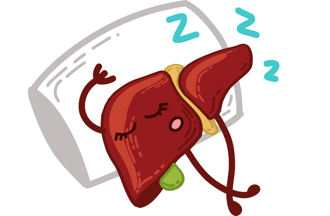 The Link Between Circadian Rhythms and Liver Disease: What You Need to Know